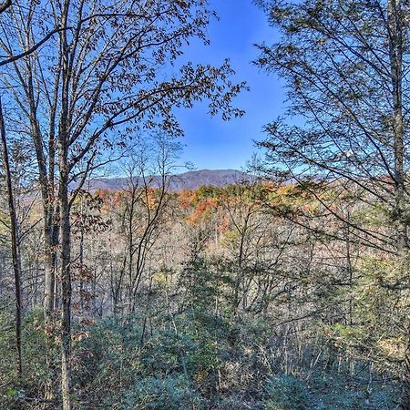Natures Retreat With Hot Tub 7 Mi To Bryson City Whittier Eksteriør billede